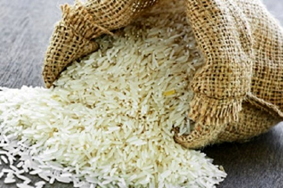 پیش بینی واردات یک میلیون و ۶۰۰ هزار تن برنج تا پایان سال/قیمت هر کیلو برنج پاکستانی ۸ هزار و ۲۰۰ تومان
