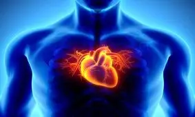 برای سلامت قلب‌مان چه کنیم؟