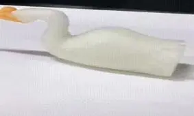 هنرنمایی با سبزیجات!