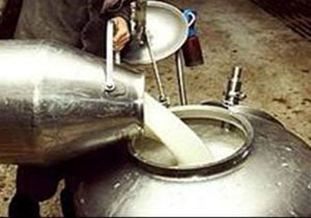 پیش بینی تولید ۱۱ میلیون تن شیرخام/ ۱۵ میلیون نهاده دامی از طریق واردات تأمین می‌شود
