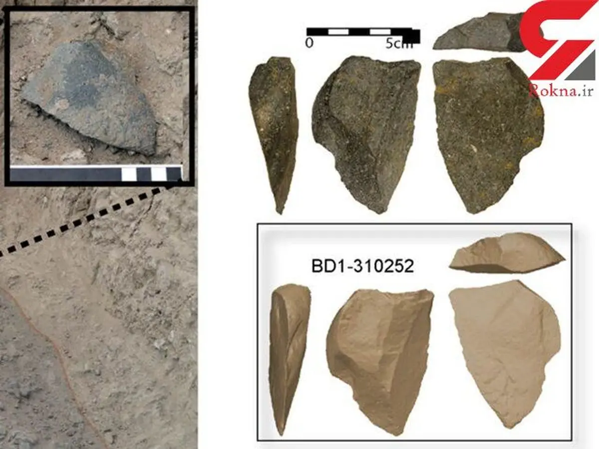 ابزار ماقبل تاریخ در اتیوپی کشف شد