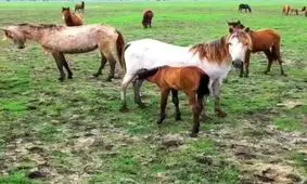 از هر لحظه ای ببرید!