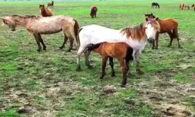از هر لحظه ای ببرید!