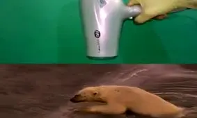 محیط زیست را تخریب نکنیم!