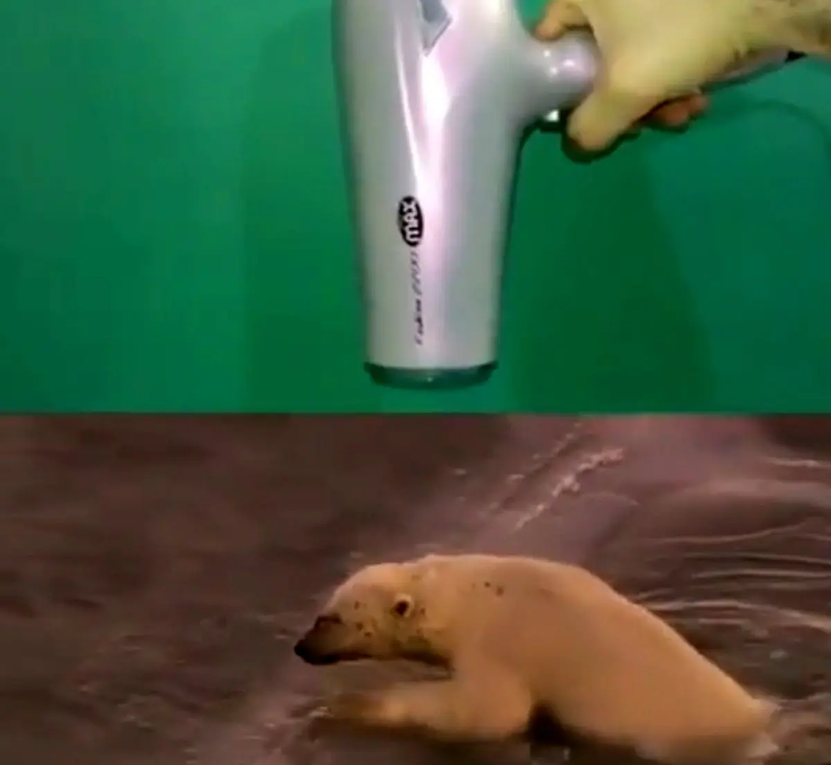 محیط زیست را تخریب نکنیم!