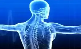 ۱۲ توصیه غذایی برای پیشگیری از سرطان