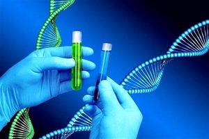 پیگیری آیین‌نامه ژن درمانی در دستور کار معاونت علمی