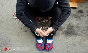 اسب محصولاتم را لگد کرد، او را ربودم