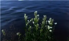 پاکیزه‌ترین رودخانه جهان +تصاویر