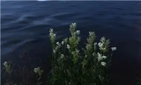 پاکیزه‌ترین رودخانه جهان +تصاویر