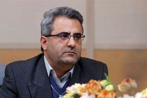 گردشگران زیر نظر آژانس‌های خدمات مسافرتی نبودند/ زمانی می‌توانم گردشگر را کنترل کنم که بر فعالیتهایش نظارت داشته باشم