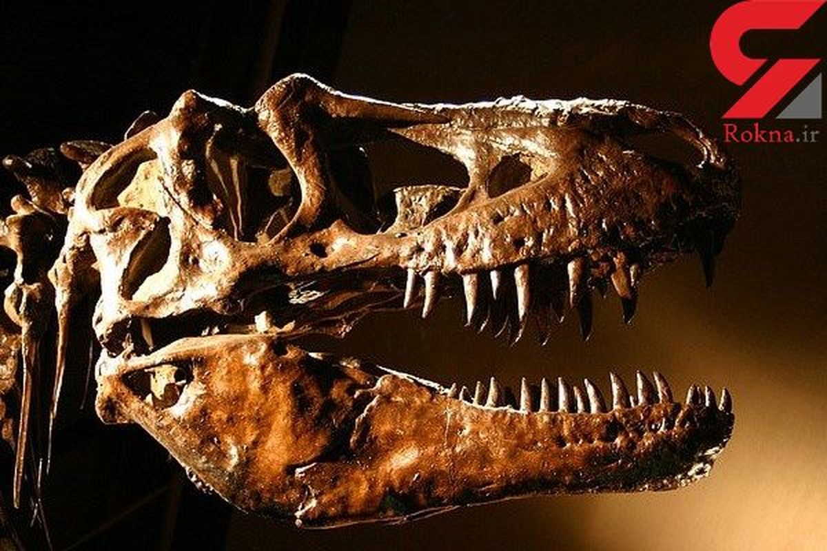 تصاویری عجیب از اسکلت دایناسور 250 میلیون ساله
