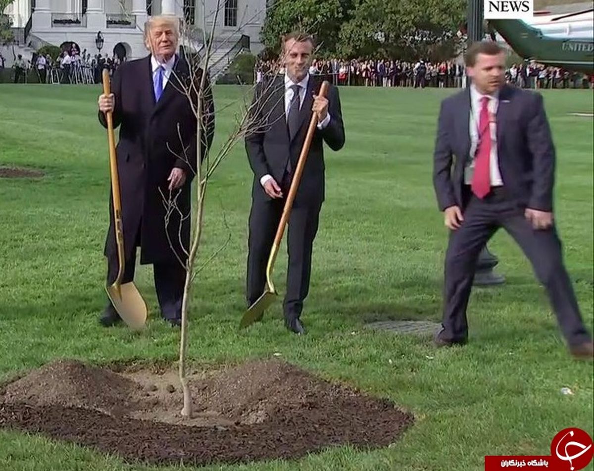 درخت دوستی ترامپ و مکرون خشک شد! + عکس