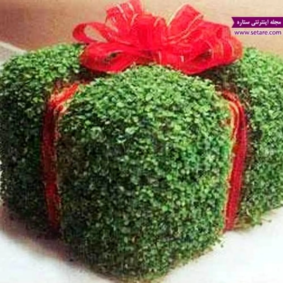 طرز تهیه سبزه منداب یا شابانک