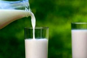 ویتامین شیر از درد شیمی درمانی پیشگیری می کند