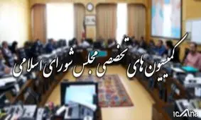 ابقای مجدد بسیاری از روسای کمیسیون‌ها/ دست بالاتر فراکسیون ولایی در هیات رییسه کمیسیون‌ها/ انتخابات هیئت رئیسه کمیسیون اجتماعی و آموزش و امنیت ملی به تعویق افتاد