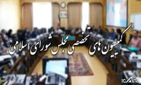 ابقای مجدد بسیاری از روسای کمیسیون‌ها/ دست بالاتر فراکسیون ولایی در هیات رییسه کمیسیون‌ها/ انتخابات هیئت رئیسه کمیسیون اجتماعی و آموزش و امنیت ملی به تعویق افتاد