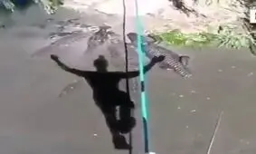 بند بازی روی رودخانه با تمساح های گرسنه !