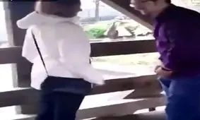 داماد دست و پا چلفتی