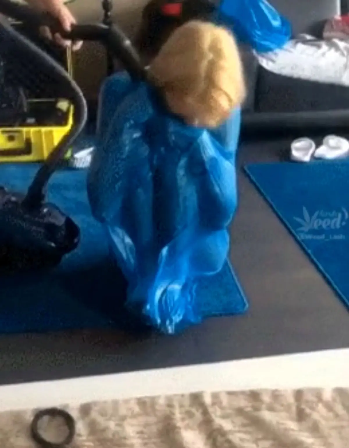 چالش جاروبرقی