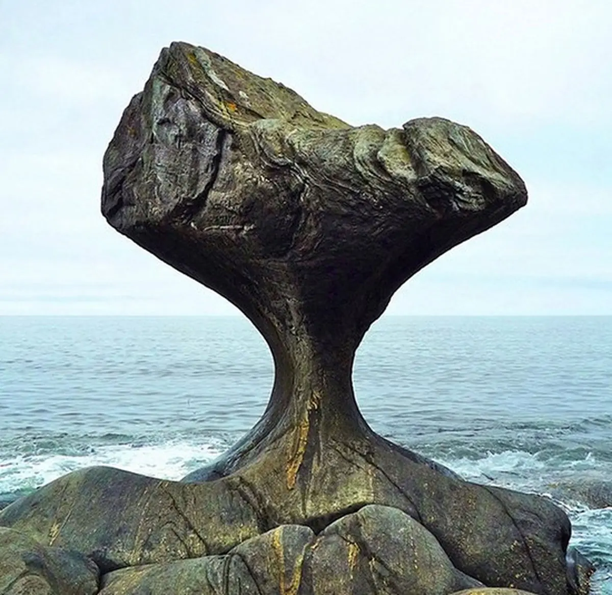 این‌ها را ببینید تا باور کنید دنیا چقدر حیرت‌انگیز است