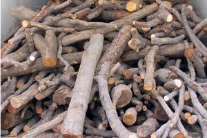 كشف 9 تن چوب جنگلي قاچاق درکردکوی