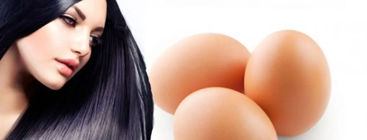 موهای سالم و درخشان با 5 ماده غذایی