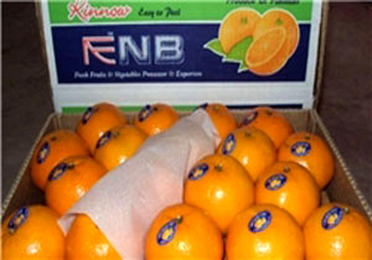لغو ممنوعیت واردات نارنگی از پاکستان به کشور