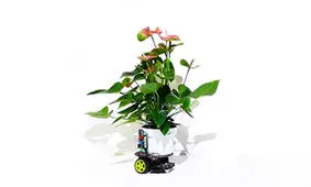 رباتی که هر گیاهی را آفتابگردان می‌کند + فیلم