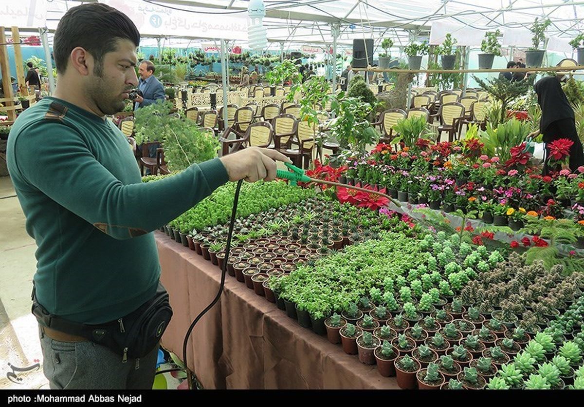 نمایشگاه گل و گیاه، صنایع‌دستی و سوغات در سمنان آغاز به‌کار کرد‌