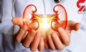 کلیه های تان را با این خوراکی ها سالم نگه دارید