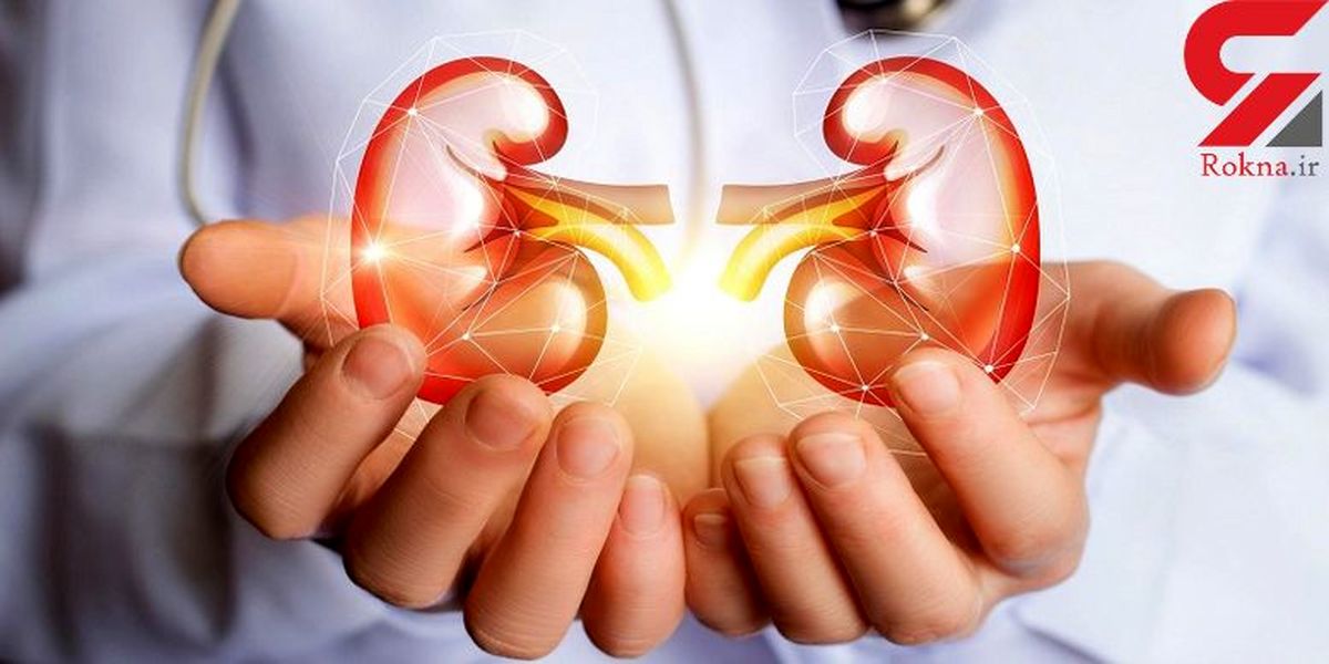 کلیه های تان را با این خوراکی ها سالم نگه دارید