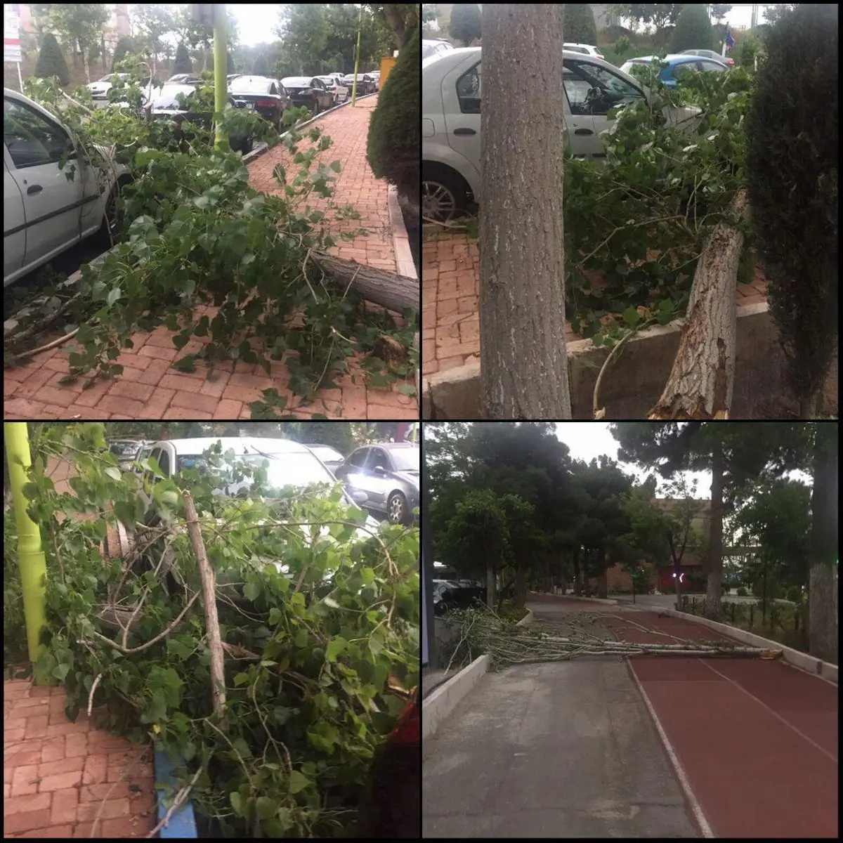 ویدیو/ توفان در تهران!