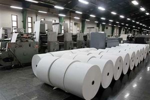 افزایش ۴۰ درصدی واردات کاغذ به کشور / کمر تولید شکسته شد