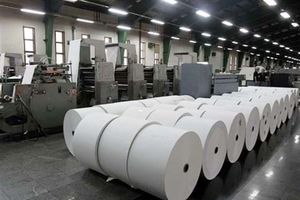 افزایش ۴۰ درصدی واردات کاغذ به کشور / کمر تولید شکسته شد