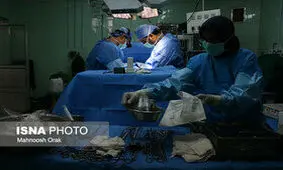 اهدای عضو دو جوان هرمزگانی در یک روز