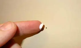 کاربرد خمیردندان در خانه