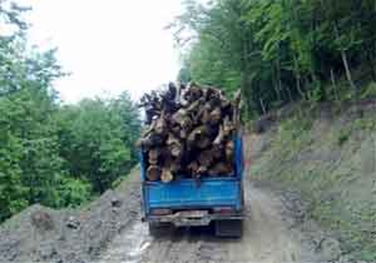 کشف ۲ تن چوب جنگلی قاچاق در تنکابن