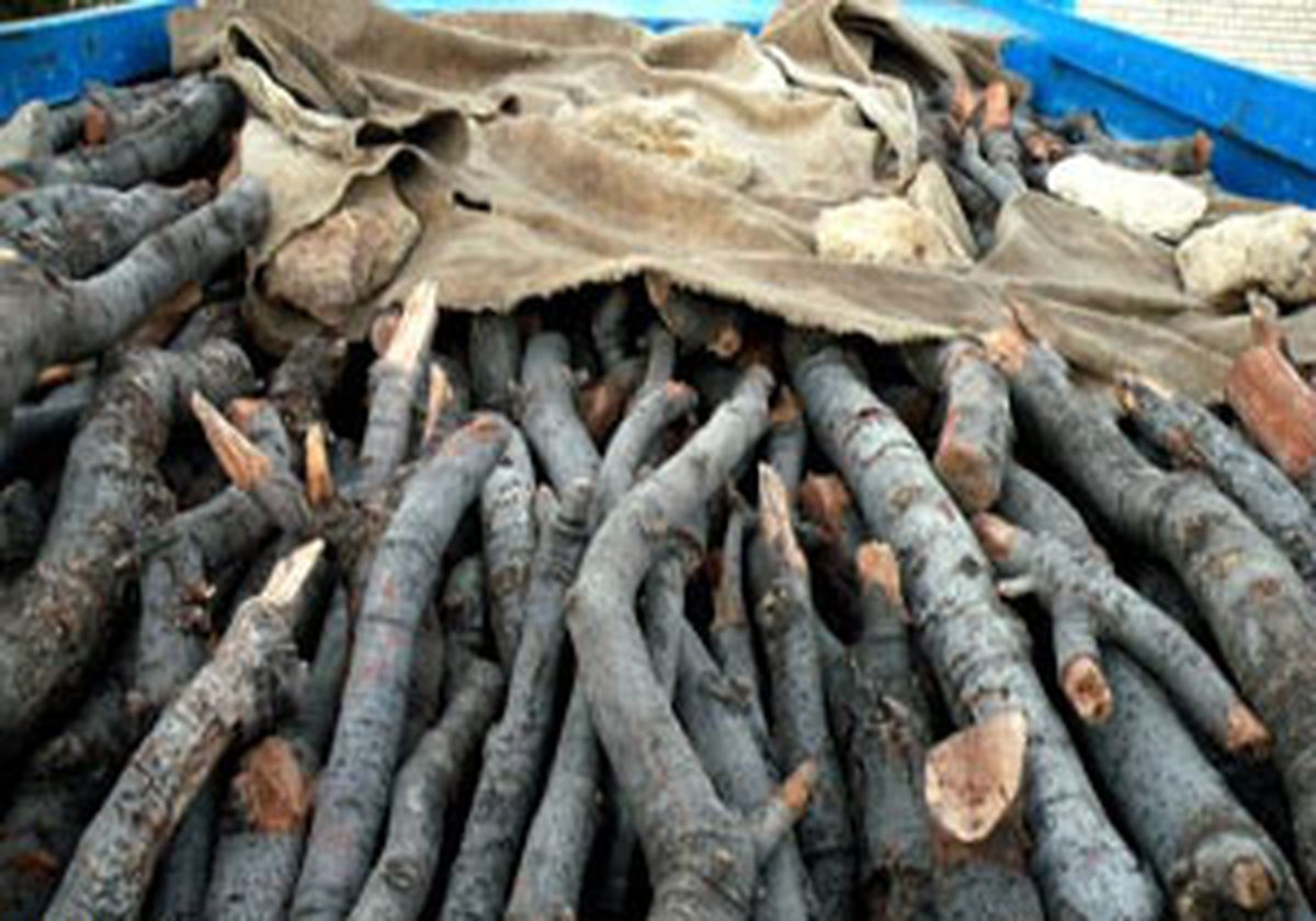 کشف ۸ تن چوب آلات جنگلی قاچاق در میاندورود