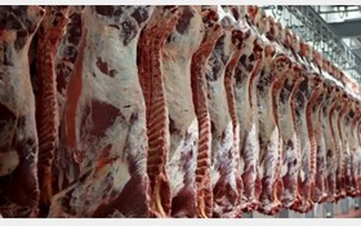 واژگونی خودرو حامل گوشت