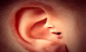 فرم گوش هایتان در مورد شخصیت شما چه می گویند؟