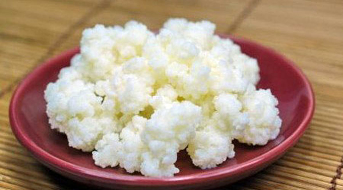 خواص نوشیدنی کفیر + طرز تهیه