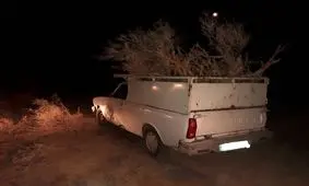 کشف محموله قاچاق تاغ در دامغان