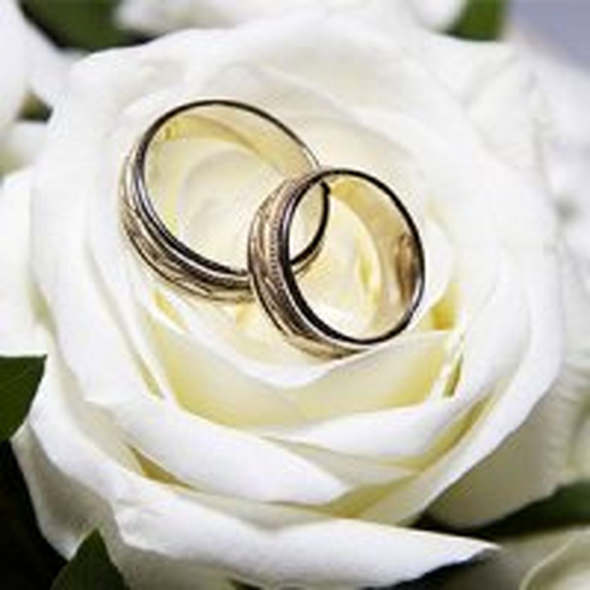 مهمترین دلیل ازدواج نکردن جوانان چیست؟