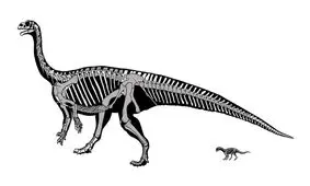 نکته‌ای جالب درباره بچه‌ دایناسور‌ها که نمی‌دانستید