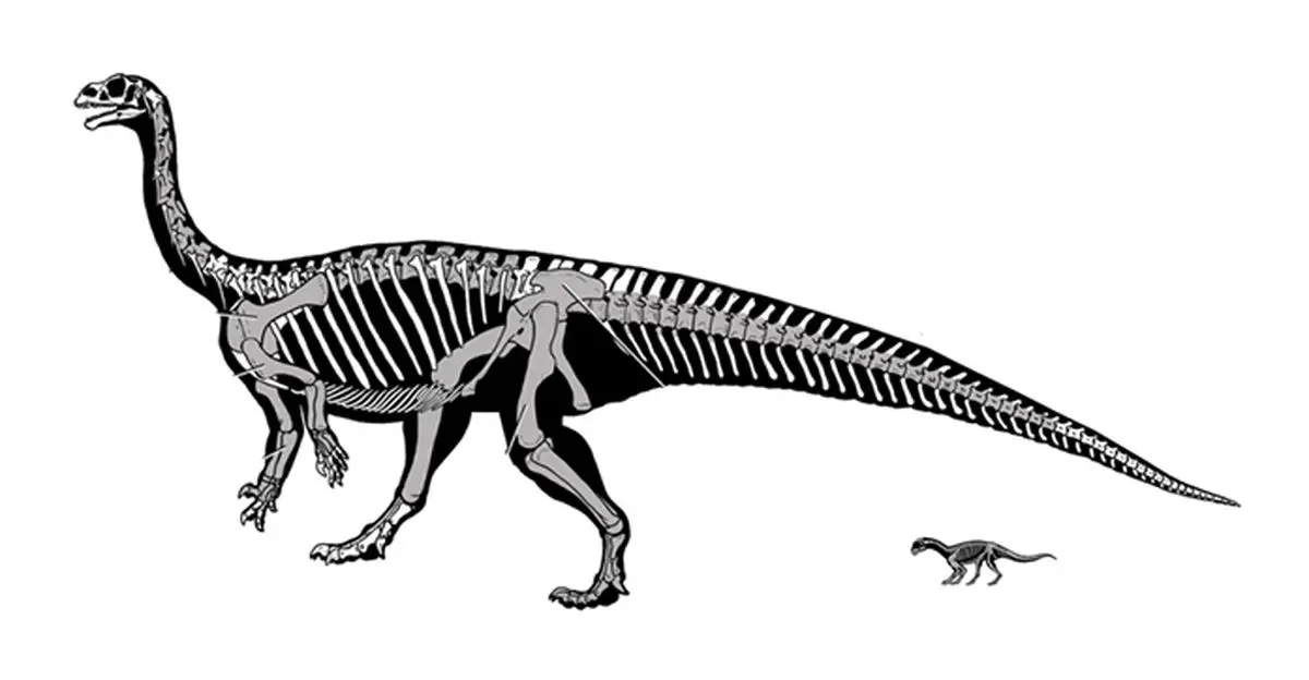 نکته‌ای جالب درباره بچه‌ دایناسور‌ها که نمی‌دانستید