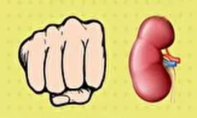 شگفت انگیز‌ترین حقایق درباره بدن انسان