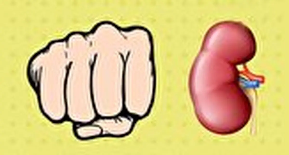 شگفت انگیز‌ترین حقایق درباره بدن انسان