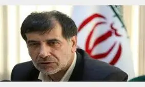 باهنر: اگر مردم در انتخابات شرکت نکردند، می توان فهمید که مردم نظر دیگری دارند