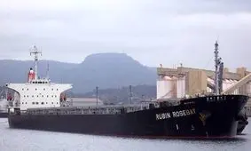 در اثر نشت عمدی گاز CO2 در کشتی باری 10 نفر جان باختند